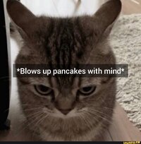 gato-explotando-pancakes-con-su-mente.jpeg
