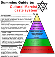 Dummies_Guide_to_Cultural_Marxist_caste_system.png