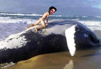 clint stevens whale.jpg