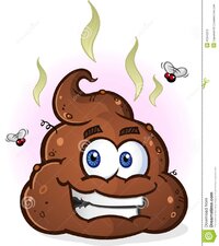 pile-poop-cartoon-character-steaming-smelly-brown-big-smile-fumes-flies-41345313.jpg