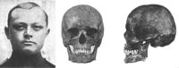 alpine-and-skull.jpg