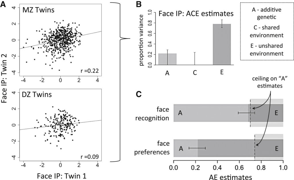 Germine-low-facial-attractiveness-correlations-twins-1024x628.jpg