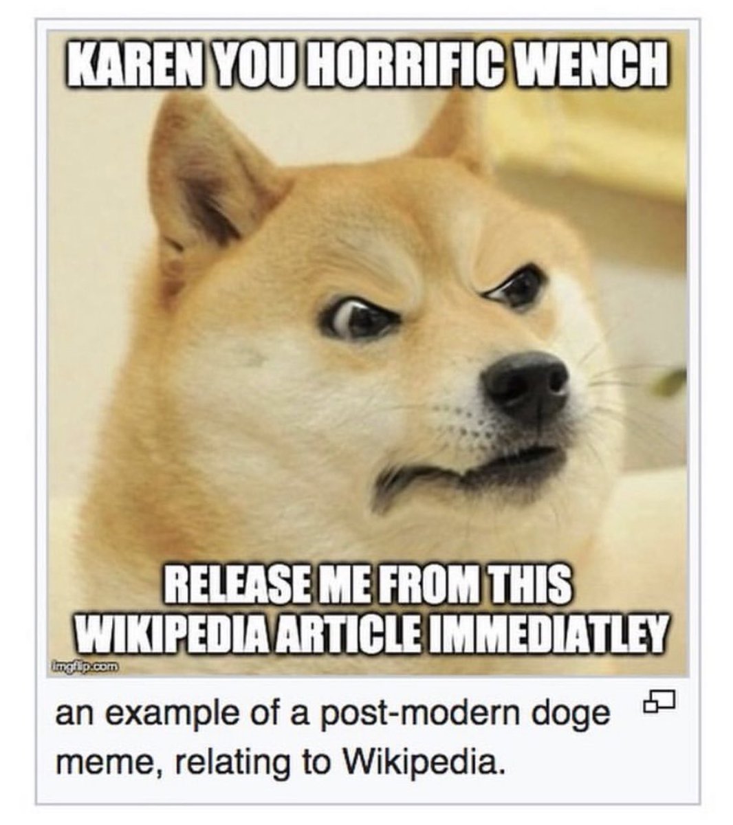 Image result for doge wikipedia meme