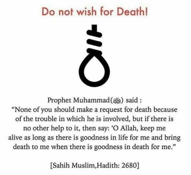 I saw recently lots of suicide posts on this sub and on others, just wanted  to share this : r/islam