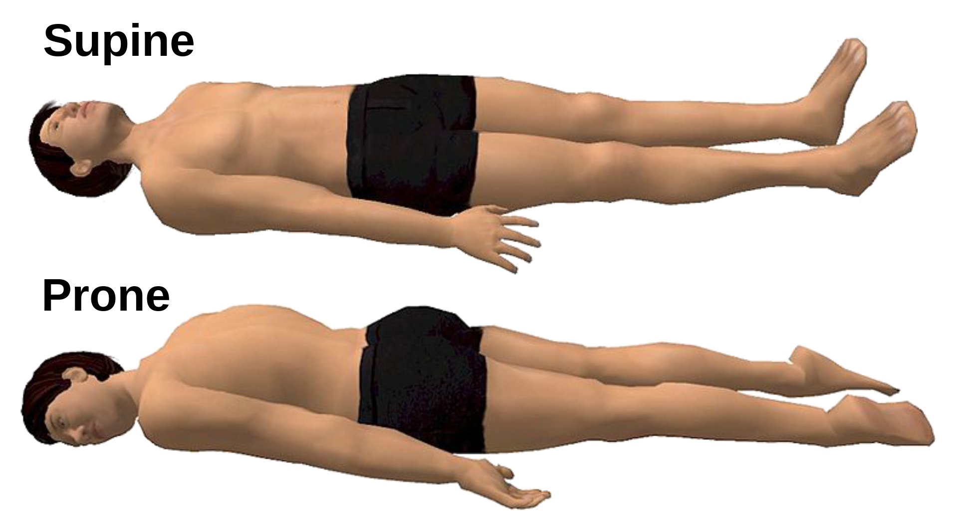 1920px-Supine_and_prone_diagrams-en.svg.png
