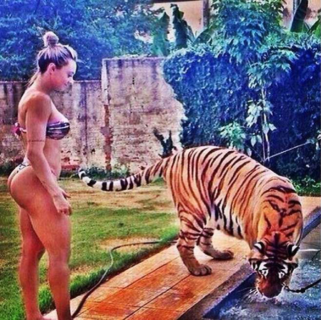  Posing with tigers is another favourite pastime of the gangs' girls